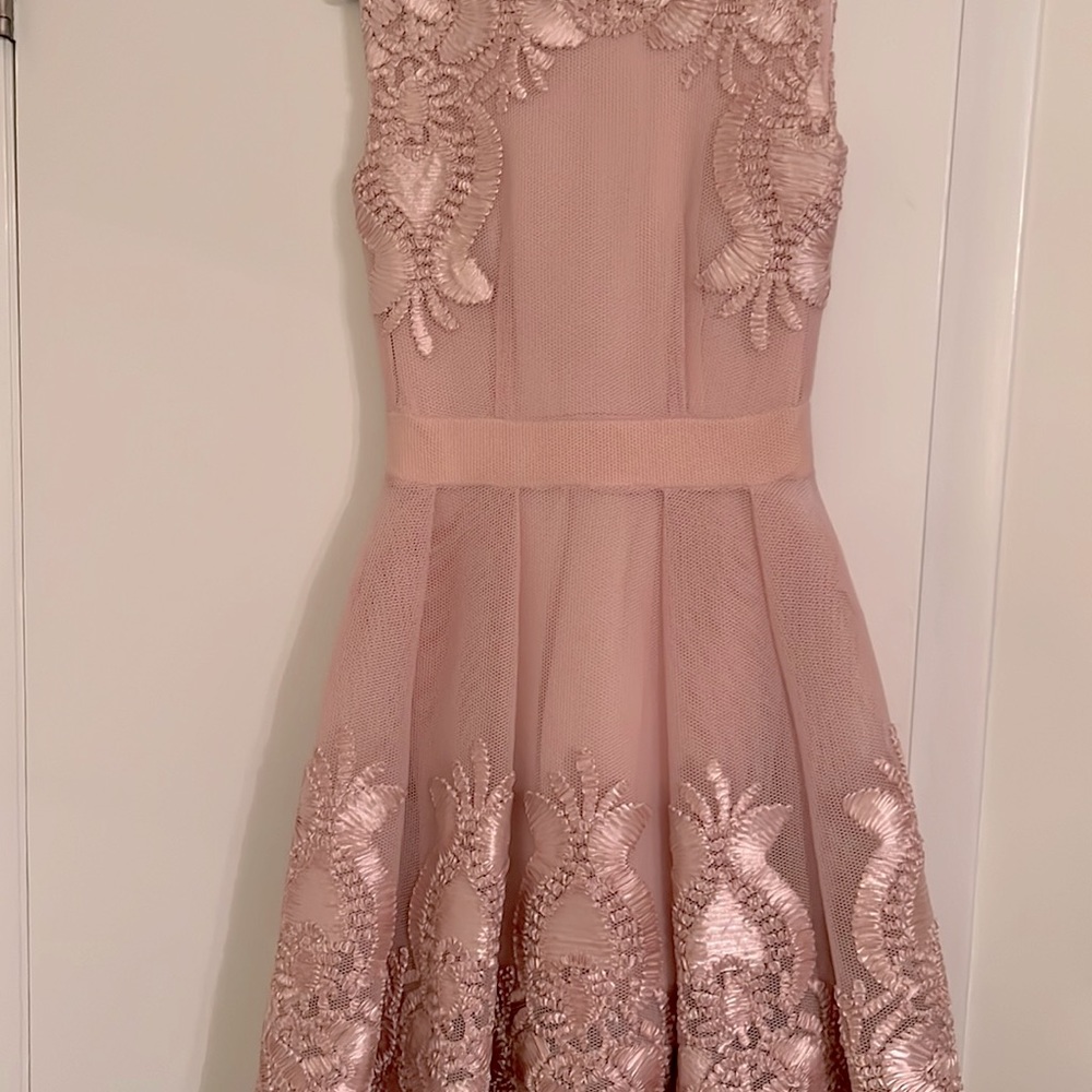 Blush Maje Dress